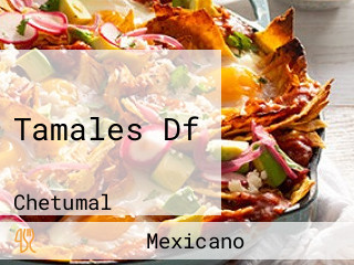 Tamales Df