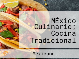 MÉxico Culinario; Cocina Tradicional Y ContemporÁnea