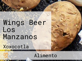 Wings Beer Los Manzanos