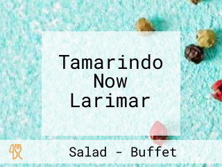 Tamarindo Now Larimar