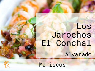 Los Jarochos El Conchal