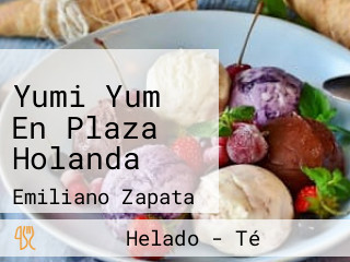 Yumi Yum En Plaza Holanda