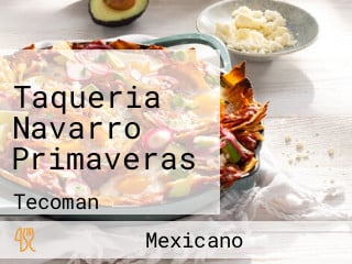 Taqueria Navarro Primaveras