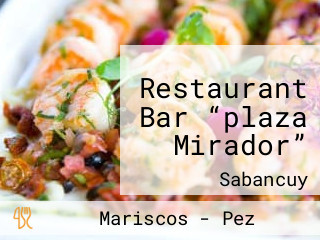 Restaurant Bar “plaza Mirador”