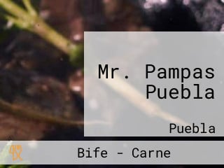 Mr. Pampas Puebla