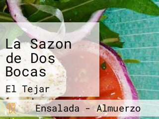 La Sazon de Dos Bocas