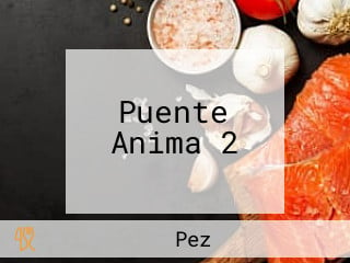 Puente Anima 2