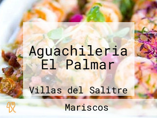 Aguachileria El Palmar