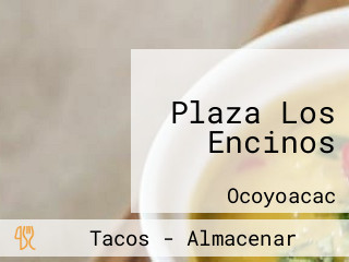 Plaza Los Encinos