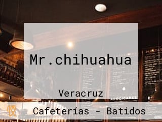 Mr.chihuahua