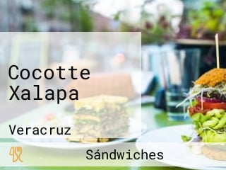 Cocotte Xalapa