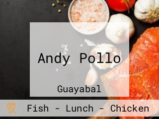 Andy Pollo