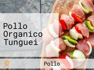 Pollo Organico Tunguei