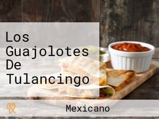 Los Guajolotes De Tulancingo