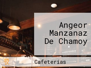 Angeor Manzanaz De Chamoy