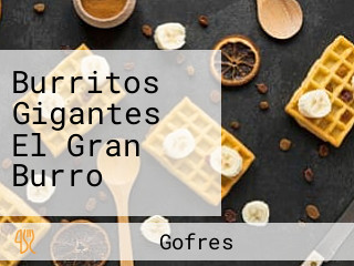 Burritos Gigantes El Gran Burro