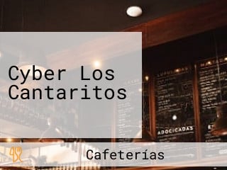 Cyber Los Cantaritos