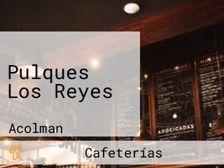 Pulques Los Reyes