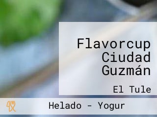 Flavorcup Ciudad Guzmán