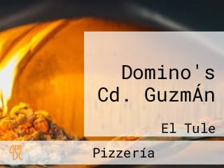 Domino's Cd. GuzmÁn