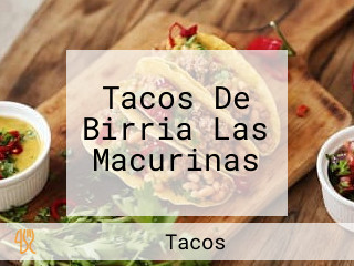 Tacos De Birria Las Macurinas