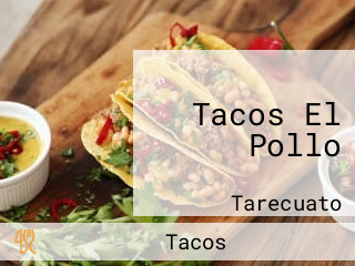 Tacos El Pollo