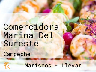 Comercidora Marina Del Sureste