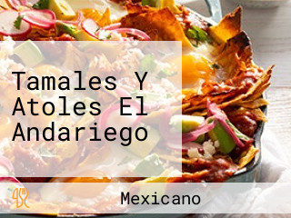 Tamales Y Atoles El Andariego