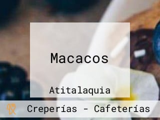 Macacos