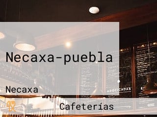 Necaxa-puebla