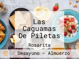 Las Caguamas De Piletas