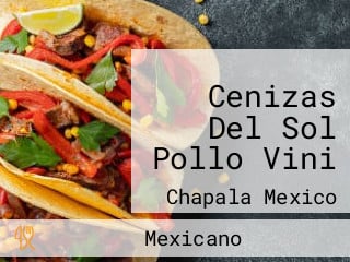 Cenizas Del Sol Pollo Vini