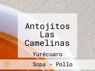 Antojitos Las Camelinas