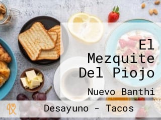 El Mezquite Del Piojo