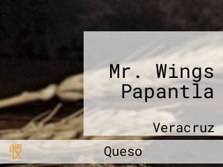 Mr. Wings Papantla