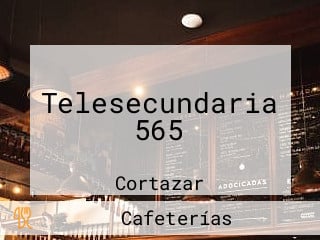 Telesecundaria 565