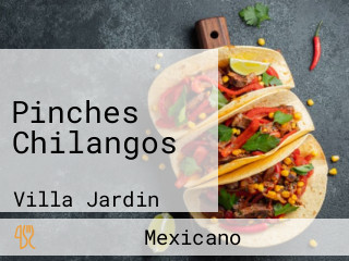 Pinches Chilangos