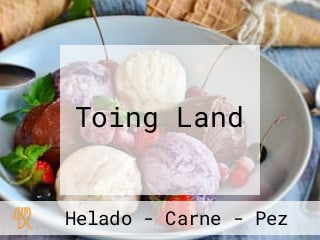 Toing Land