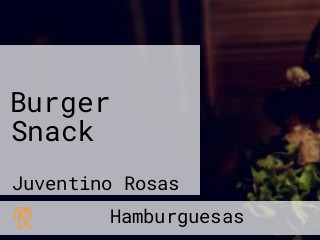 Burger Snack