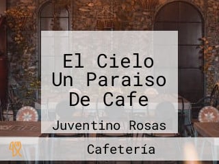 El Cielo Un Paraiso De Cafe