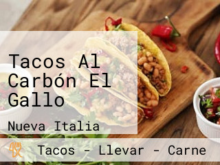 Tacos Al Carbón El Gallo