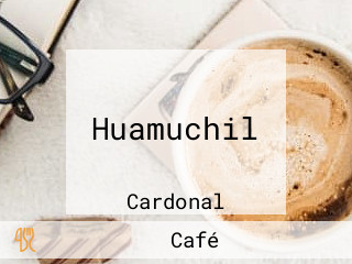 Huamuchil