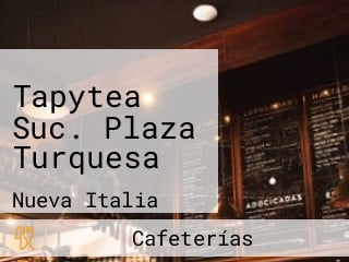 Tapytea Suc. Plaza Turquesa