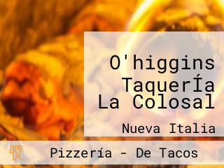 O'higgins TaquerÍa La Colosal