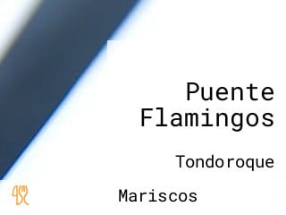 Puente Flamingos