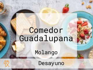 Comedor Guadalupana