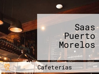 Saas Puerto Morelos