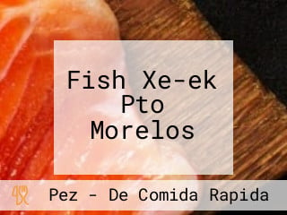 Fish Xe-ek Pto Morelos