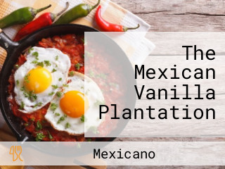 The Mexican Vanilla Plantation