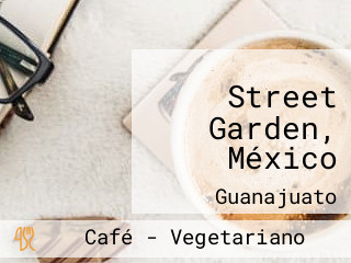 Street Garden, México